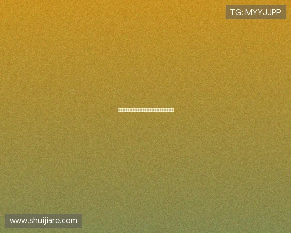 荷兰足球基金会助力退役球员成功转型与再就业探索